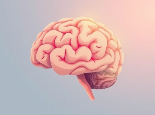 Stylowy mózg, uspokojone, pastelowe ścieżki, czujna ciało migdałowate.