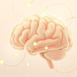 Rola kory somatosensorycznej w odczuwaniu empatii fizycznej