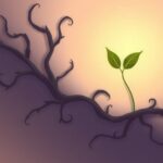 Rozpoznawanie trucizny: jak identyfikować toksyczne relacje?