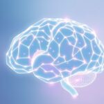 Jak badania nad hipokampem wyjaśniły pamięć przestrzenną