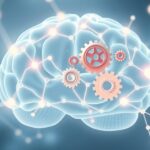 Jak mózg przetwarza informacje podczas ważnych spotkań?