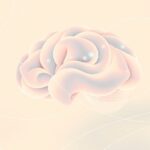 Czym jest neuroprzekaźnik acetylocholina i jak wpływa na uwagę?