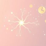 Czym jest neuroprzekaźnik histamina i jak wpływa na czuwanie?