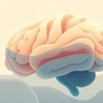 Dlaczego mózg reaguje silniej na niespodziewane dźwięki?