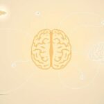 Jak badania nad ciałem migdałowatym wyjaśniły reakcje lękowe?