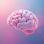 Jak mózg przetwarza informacje w stanie głębokiej koncentracji?