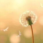 Jak przestać się czuć winnym/a za bycie „zbyt wymagającym”?