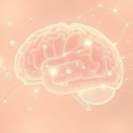 Mechanizmy działania pamięci wzrokowej: jak mózg przechowuje to, co widzimy