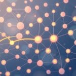 Rola neuroprzekaźnika serotoniny w regulacji zachowań społecznych