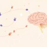 Dlaczego flora jelitowa wpływa na produkcję dopaminy?