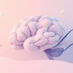 Jak mózg przetwarza informacje w stanie emocjonalnego wyczerpania?