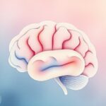 Rola płata ciemieniowego w integracji informacji sensorycznych